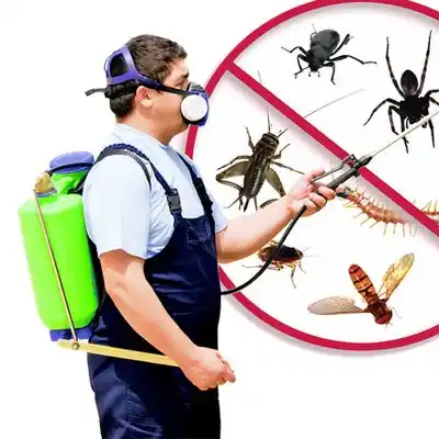 pest control Orchard Grass Hills